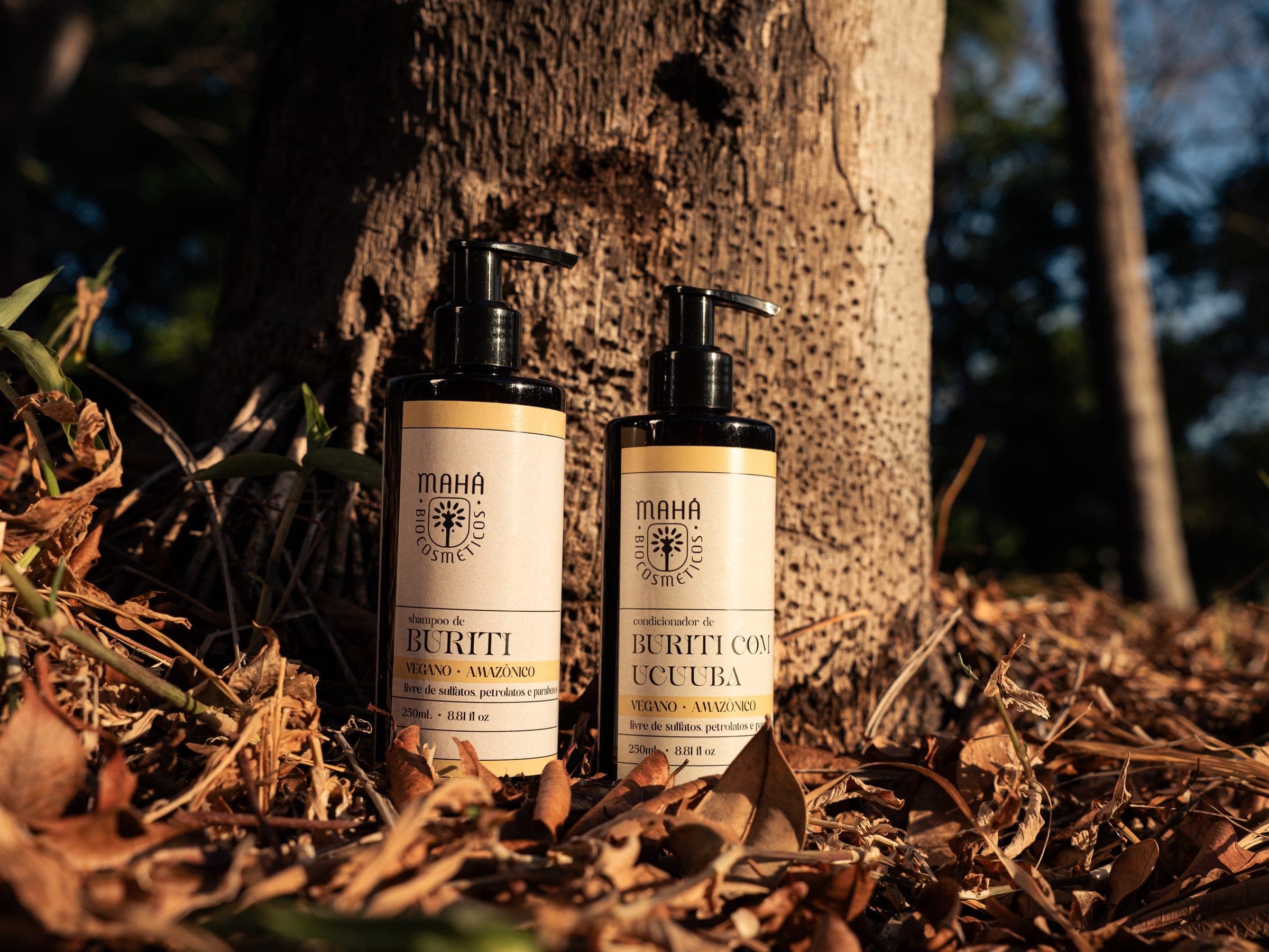 Shampoo de Buriti e condicionador de Buriti com Ucuuba junto ao tronco de uma árvore